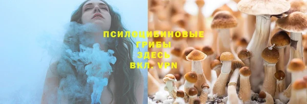 прущие крисы Абаза