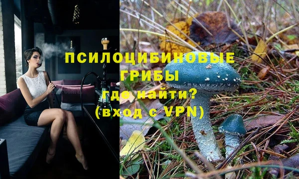 прущие крисы Абаза
